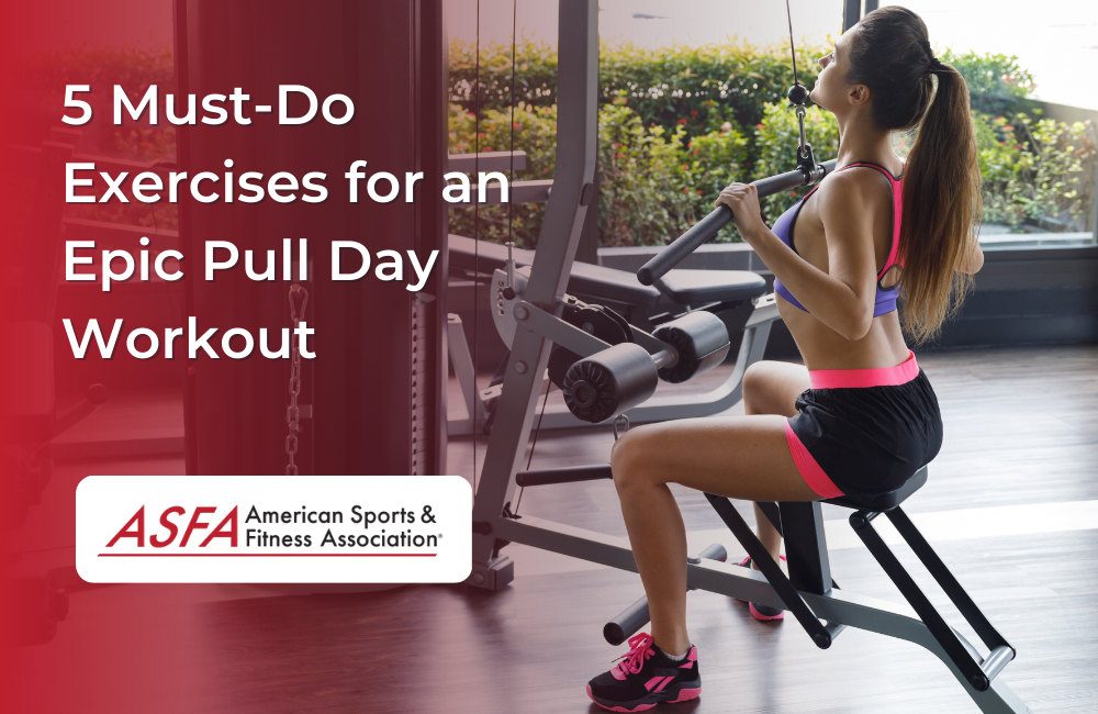 Pull Day Workout Routine: Ultimate Guide for Maximum Strength Gains