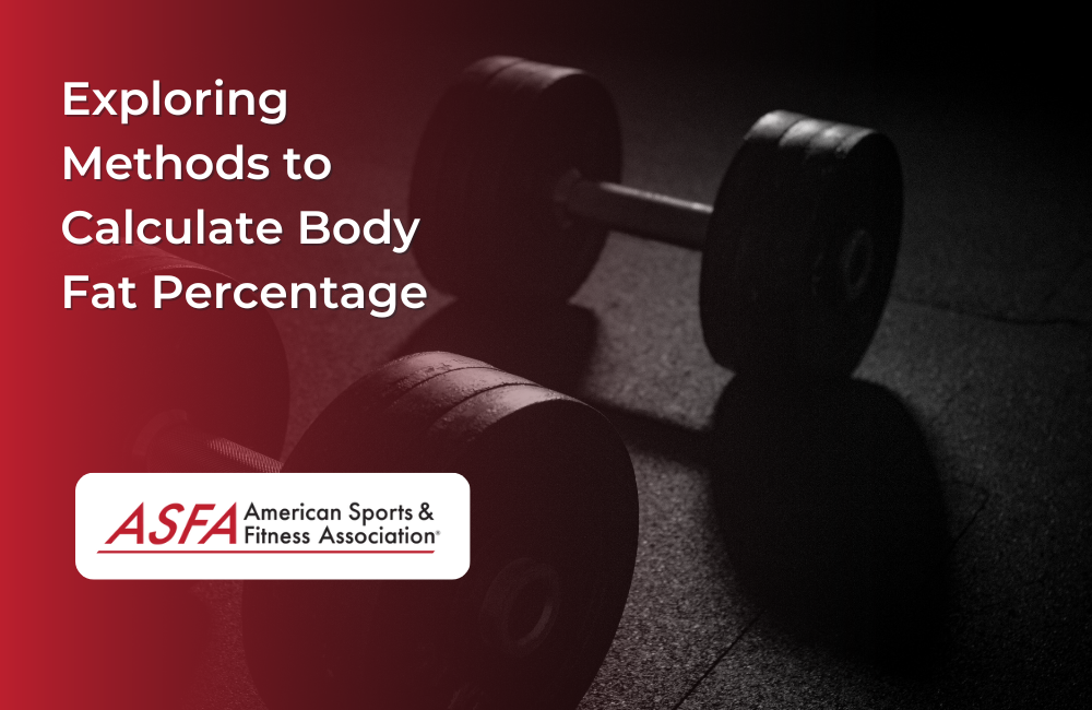 Exploring Methods to Calculate Body Fat Percentage