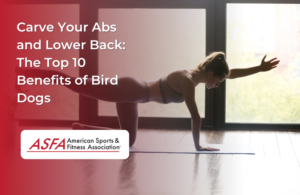 Carve Your Abs and Lower Back: The Top 10 Benefits of Bird Dogs
