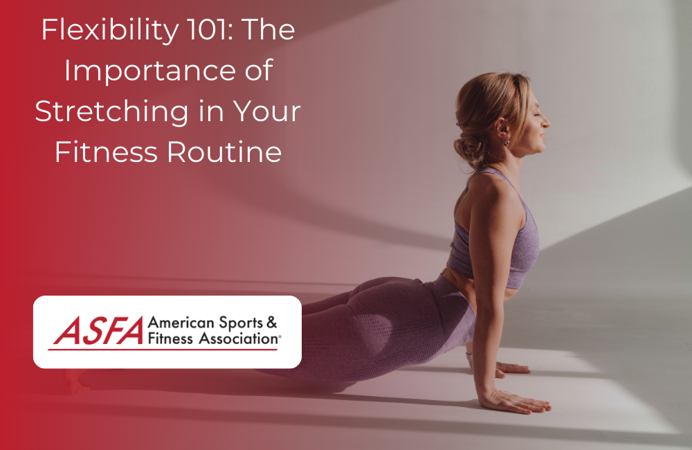Flexibility 101: The Importance of Stretching in Your Fitness Routine