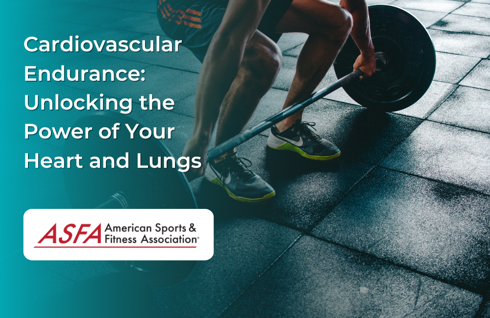 Cardiovascular endurance hotsell