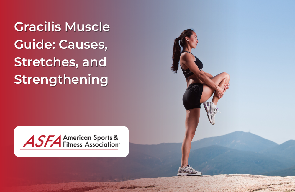 Gracilis Muscle Guide: Causes, Stretches, and Strengthening