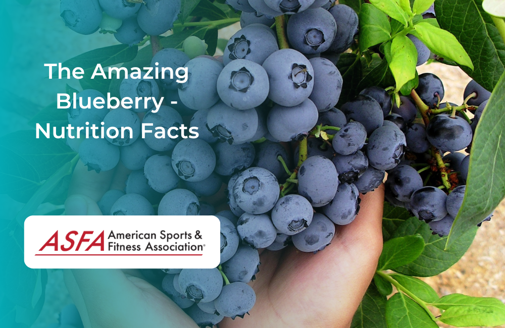 The Amazing Blueberry Nutrition Facts