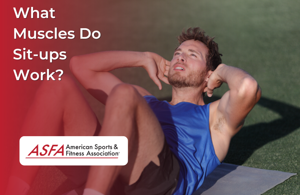 What muscles do discount sit ups work out