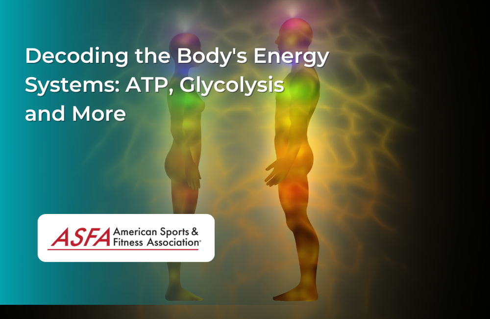 Decoding the Body's Energy Systems: ATP, Glycolysis and More
