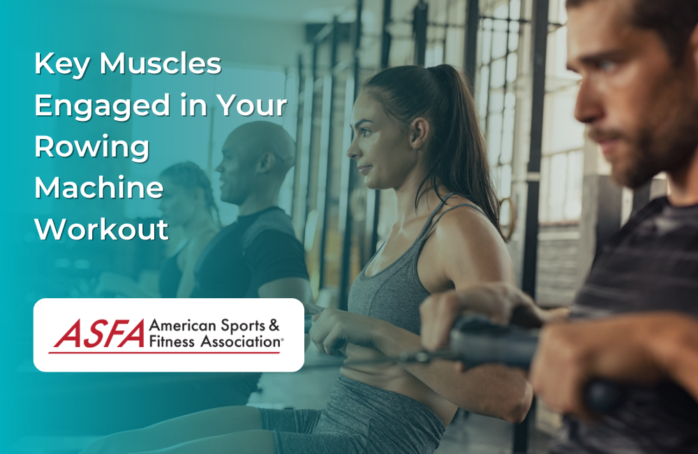 A row of people wotking out on rowing machines.