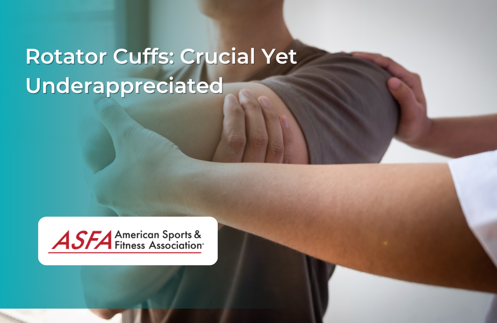 Rotator Cuffs Crucial Yet Underappreciated
