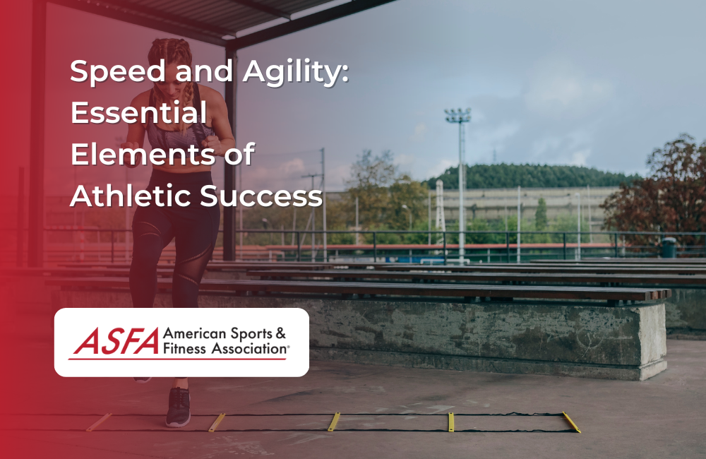 Speed and Agility: Essential Elements of Athletic Success