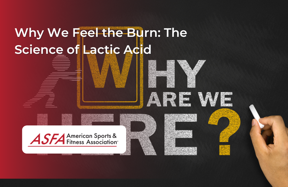 Why We Feel the Burn: The Science of Lactic Acid