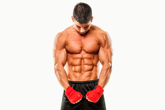 Martial Arts Fitness Certification Online - MMA Conditioning Certification