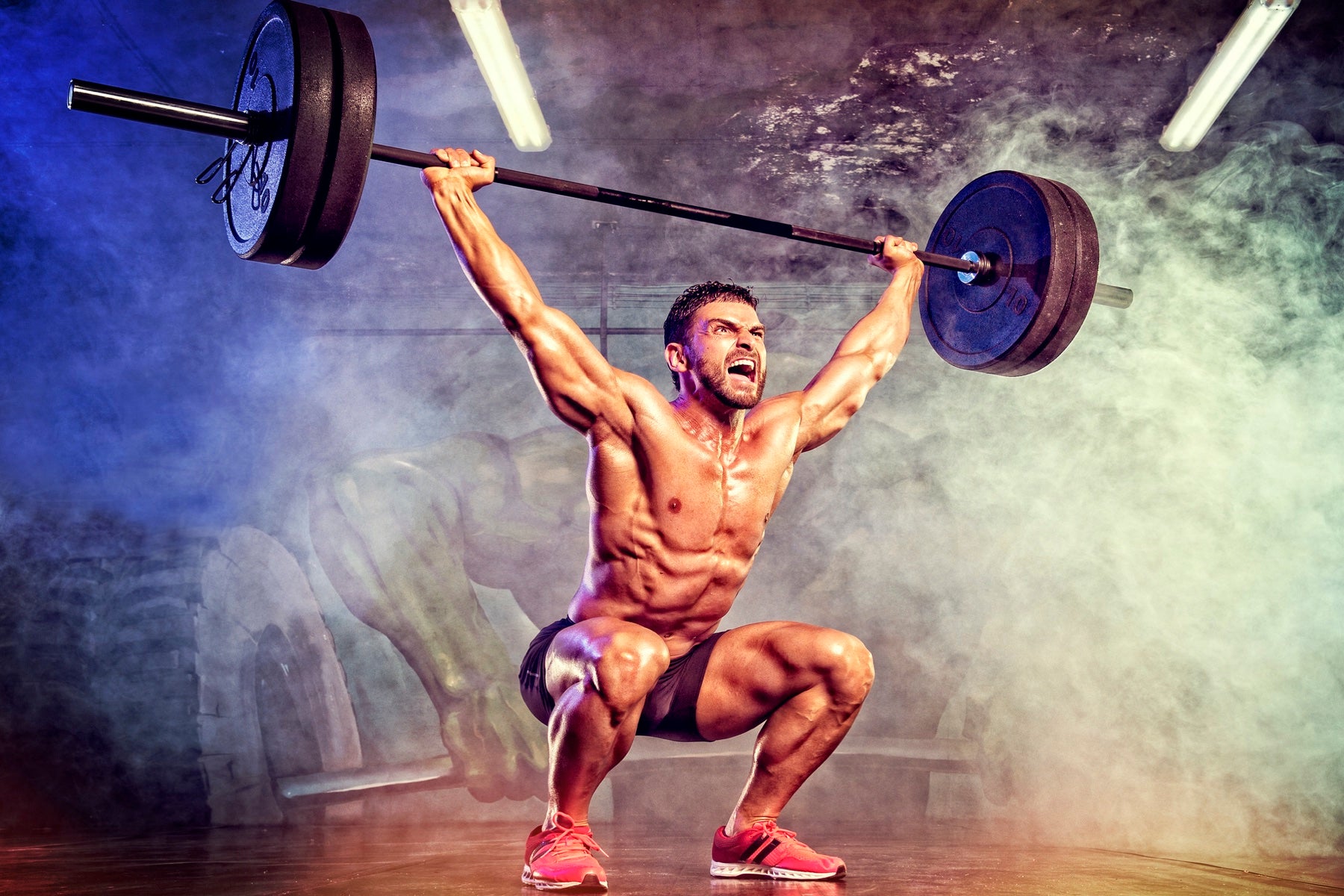 Powerlifting Olympic Weightlifting Certification Online