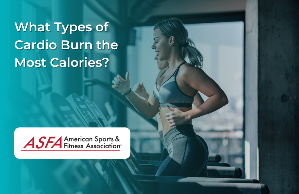 What Types of Cardio Burn the Most Calories?