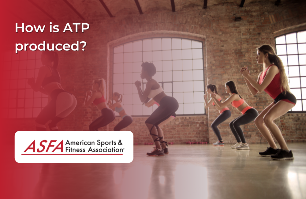 Group of women doing squats in a large room with brick walls and large windows.