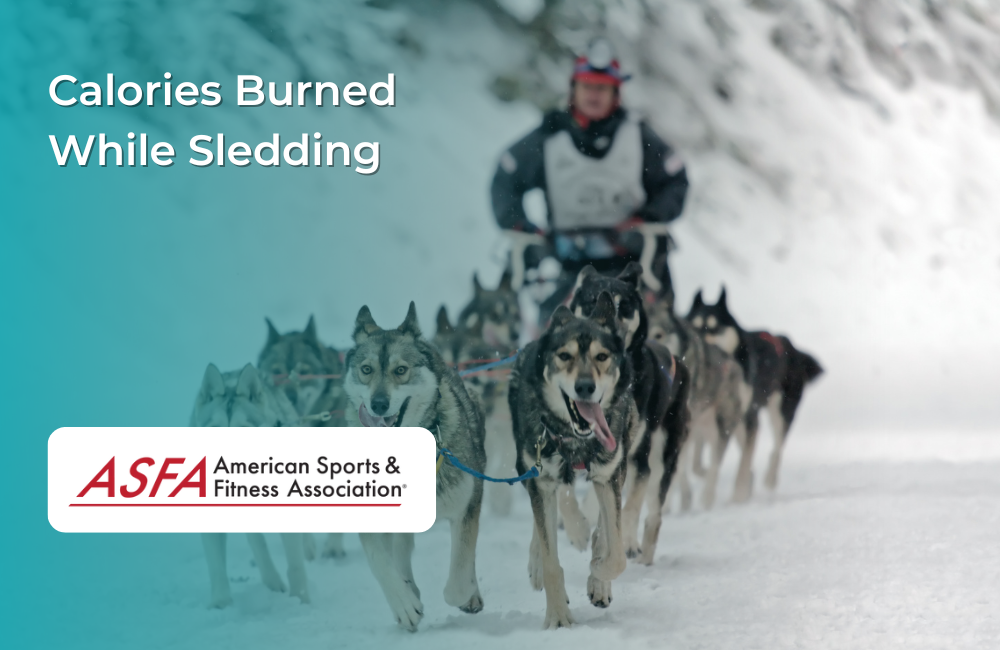 Guy with group of sled dogs