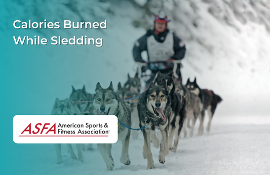 Guy with group of sled dogs