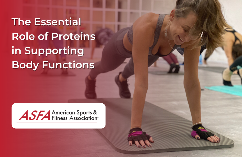 The Essential Role of Proteins in Supporting Body Functions