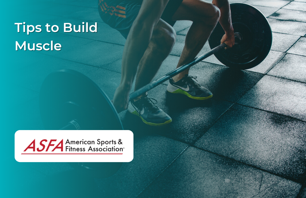 Tips to Build Muscle