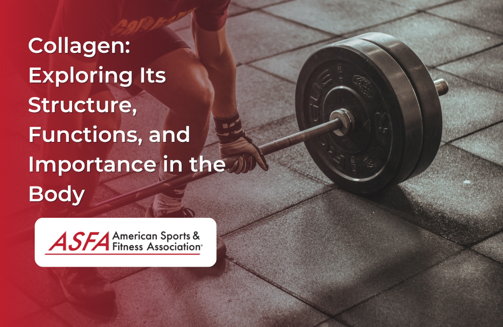 Collagen: Exploring Its Structure, Functions, and Importance in the Body