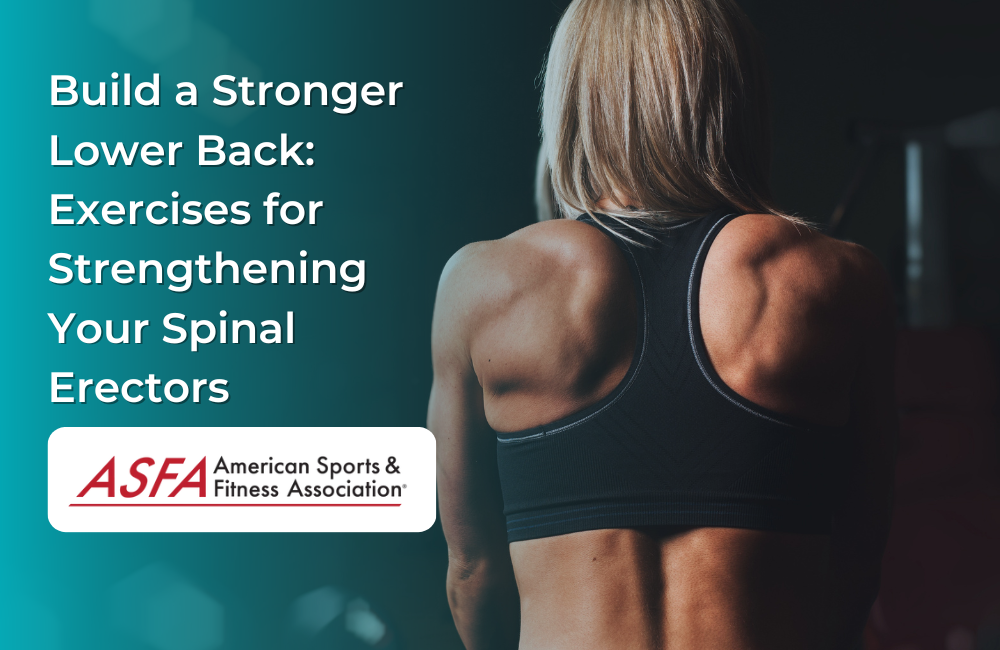 Build a Stronger Lower Back: Exercises for Strengthening Your Spinal Erectors