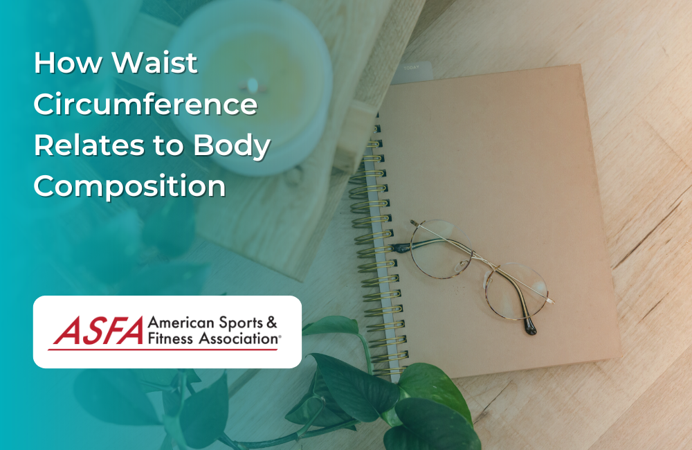 How Waist Circumference Relates to Body Composition