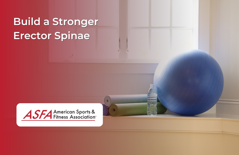 Build a Stronger Erector Spinae: Exercises for Strengthening Your Upper and Middle Back Muscles