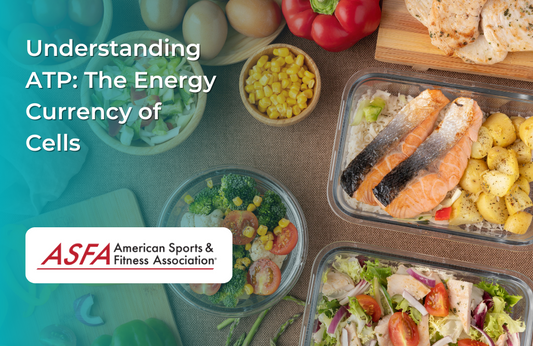 Understanding ATP: The Energy Currency of Cells