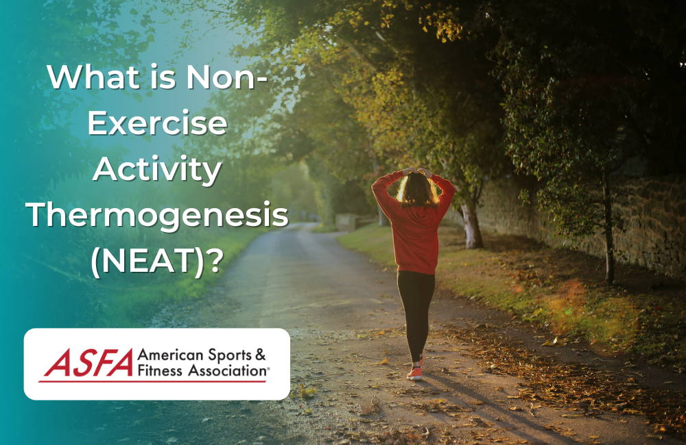 What Is Non Exercise Activity Thermogenesis at Bethany Lindrum blog