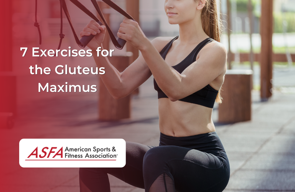 7 Exercises for the Gluteus Maximus