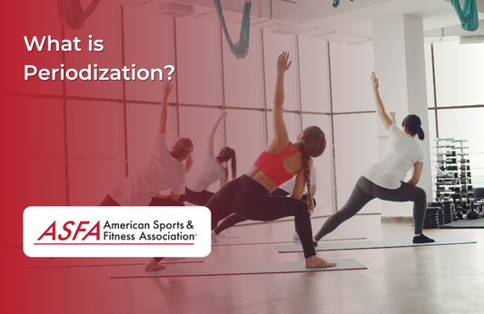 What is Periodization?