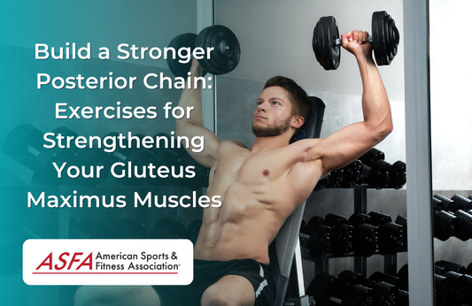 Build a Stronger Posterior Chain: Exercises for Strengthening Your Gluteus Maximus Muscles