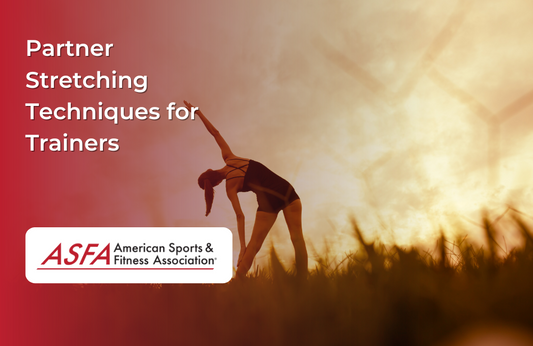 Partner Stretching Techniques for Trainers