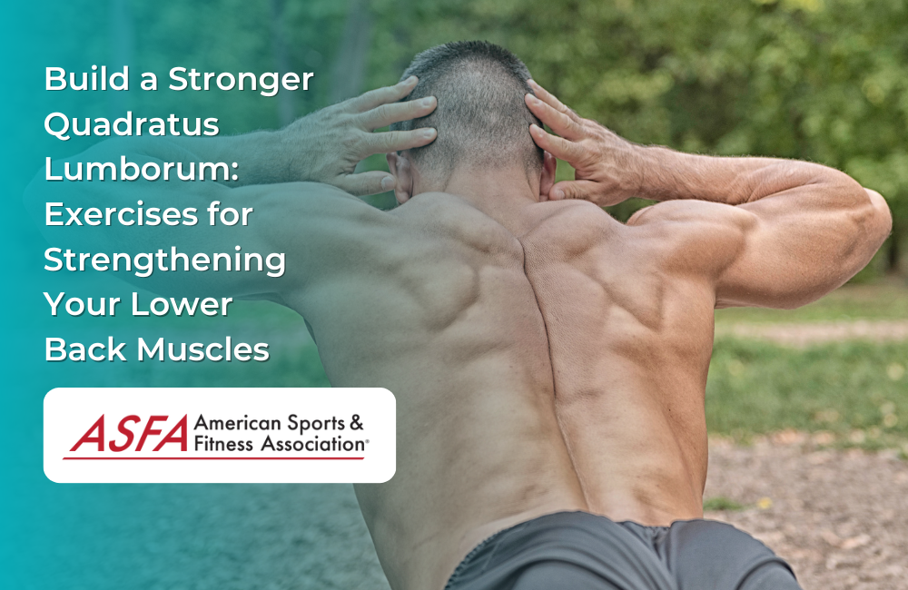 Build a Stronger Quadratus Lumborum: Exercises for Strengthening Your Lower Back Muscles