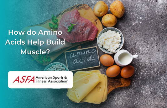 How do Amino Acids Help Build Muscle?