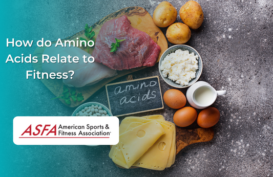 How do Amino Acids Relate to Fitness?