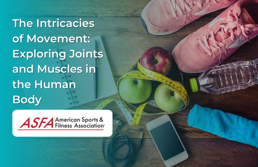 The Intricacies of Movement: Exploring Joints and Muscles in the Human Body