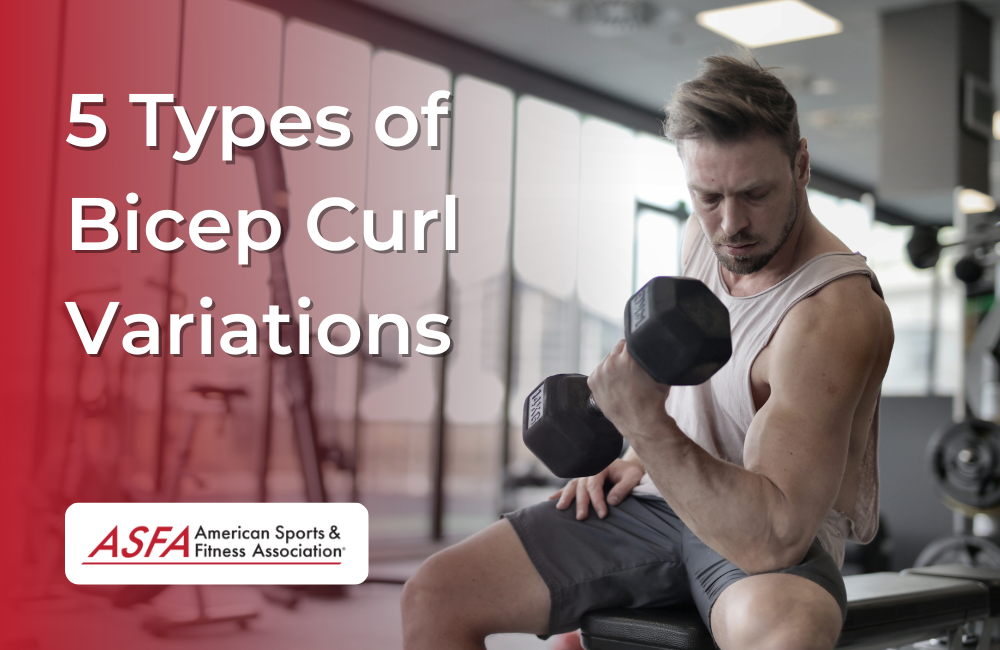 5 Types of Bicep Curl Variations