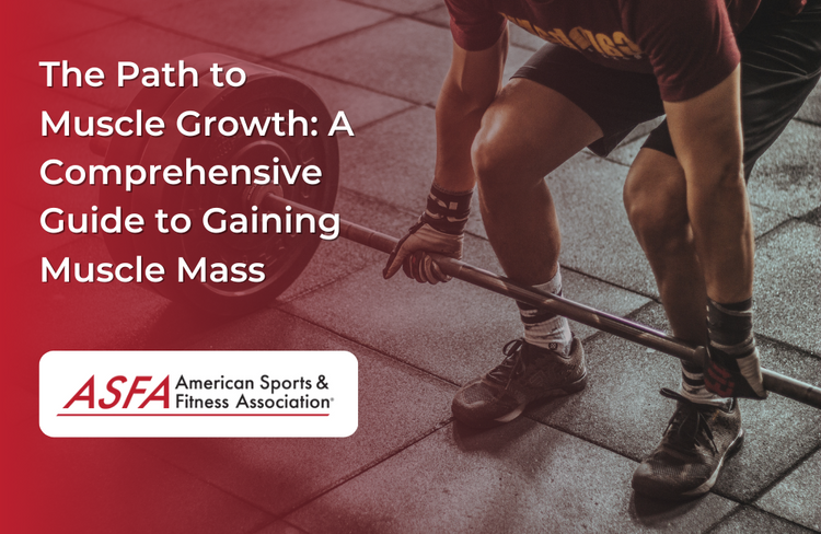 A Comprehensive Guide to Gaining Muscle Mass
