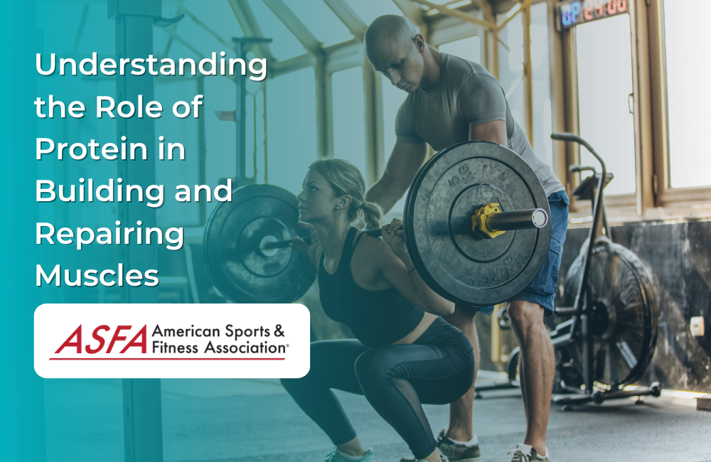 Understanding the Role of Protein in Building and Repairing Muscles