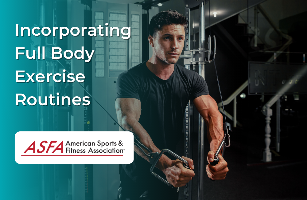 Should You Incorporate Full Body Exercise Routines into Your Workouts?