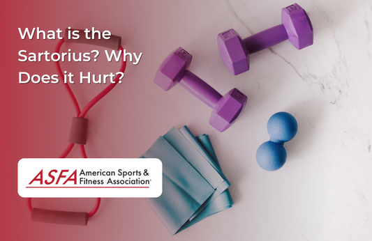 A collection of workout equipment, including dumbbells, resistance bands, and massage balls, placed on a white marble surface.