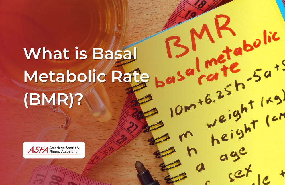 What is Basal Metabolic Rate (BMR)?