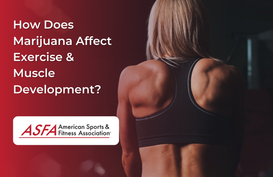 A close-up of a woman's toned back in a dimly lit gym.