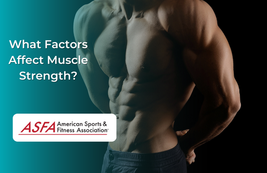 What Factors Affect Muscle Strength?