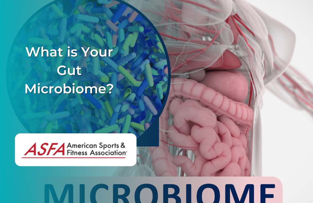 What is Your Gut Microbiome?