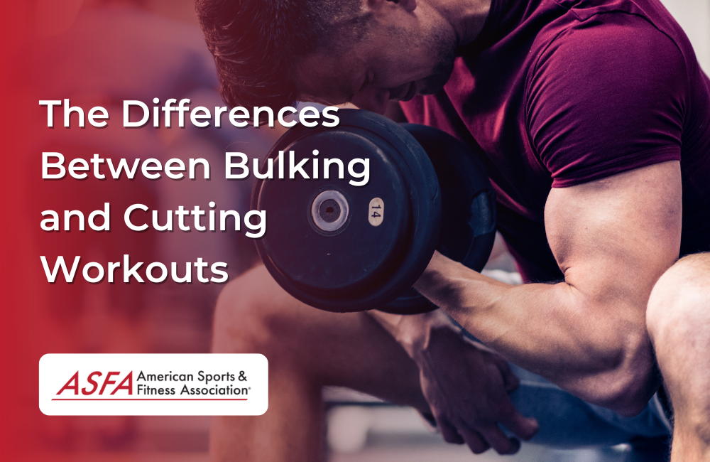 The Differences Between Bulking and Cutting Workouts