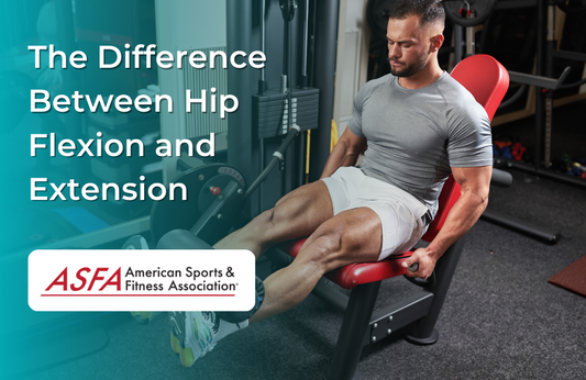 The Difference Between Hip Flexion and Extension