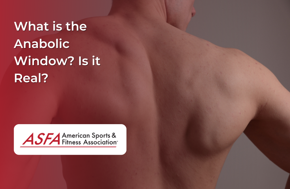 A close-up of a man’s muscular back.