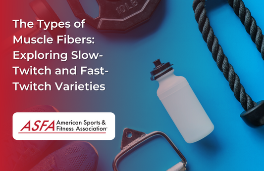The Types of Muscle Fibers: Exploring Slow-Twitch and Fast-Twitch Varieties