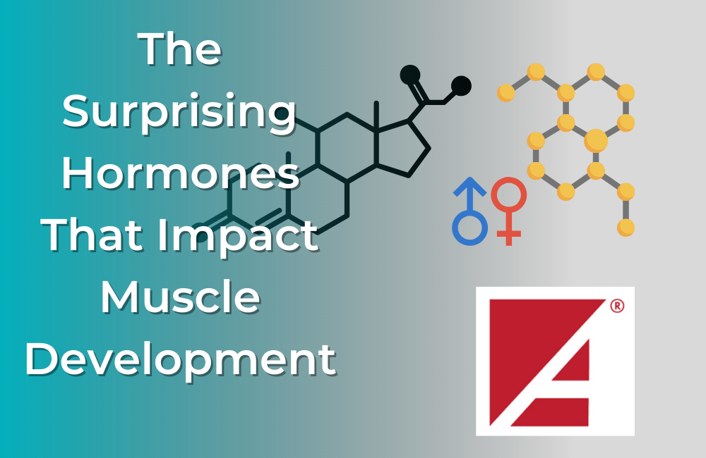 Hormones and the role they play in muscle development