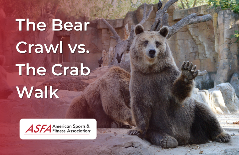 The Bear Crawl vs. The Crab Walk
